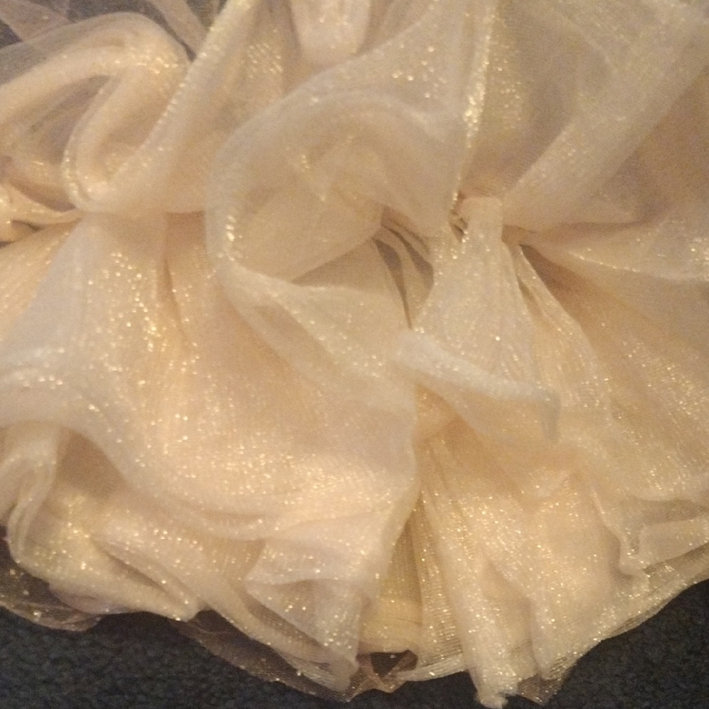 Set of Three Photo Shoot Tulle Skirts with Gold and Cream Accents - Picture 5 of 7